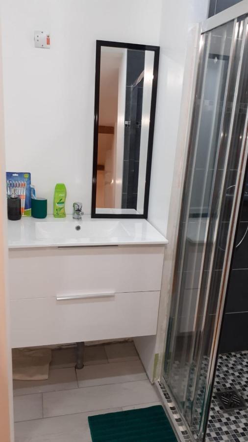 Appartement La Joie Dans Quartier Chic Pibrac Buitenkant foto