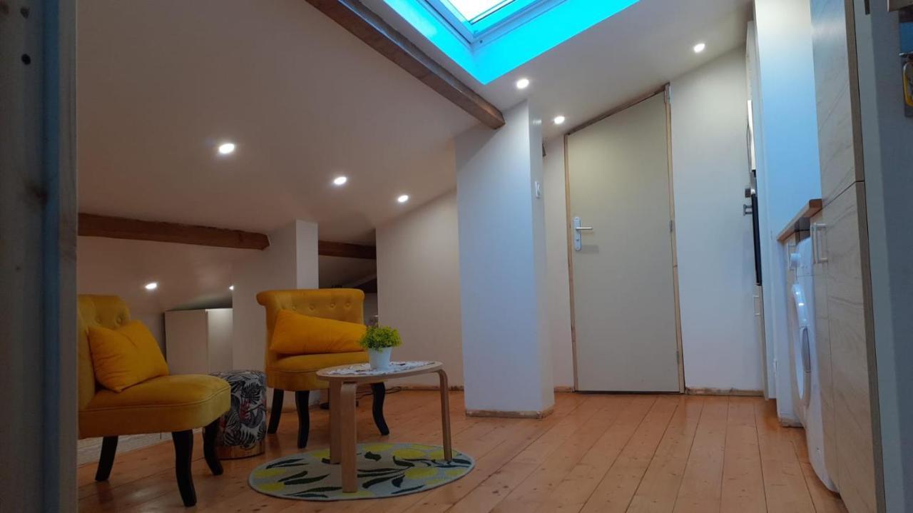Appartement La Joie Dans Quartier Chic Pibrac Buitenkant foto